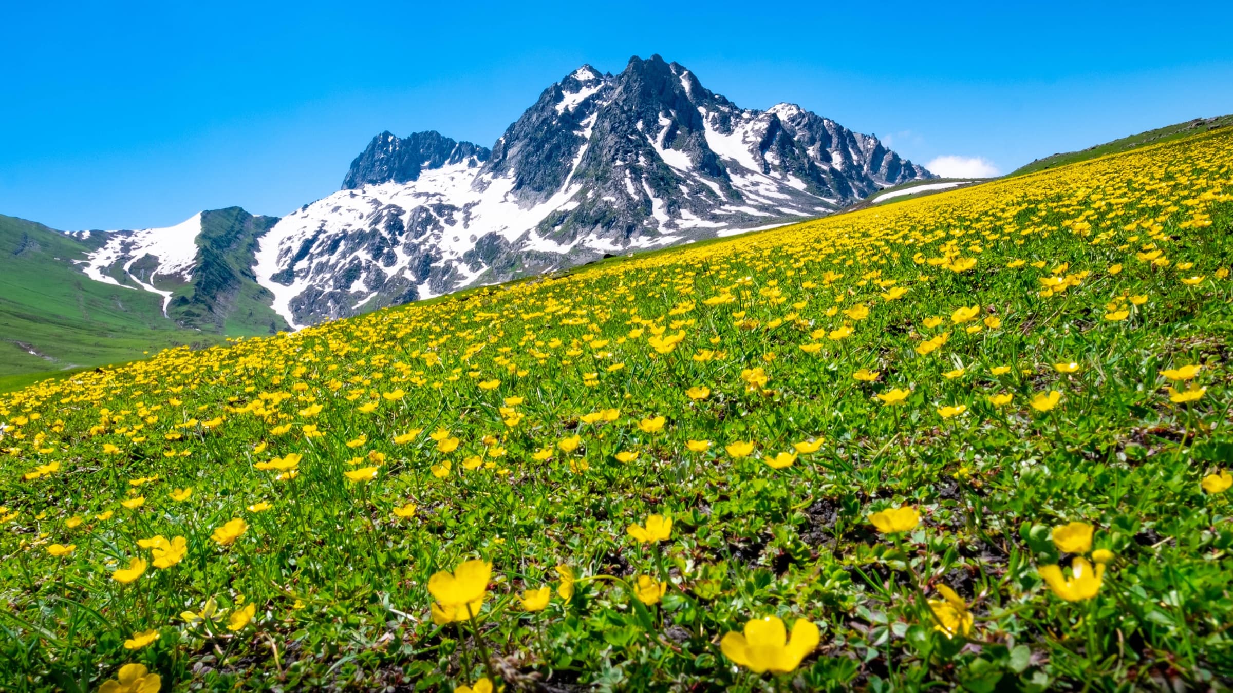 Kashmir Great Lakes Trek